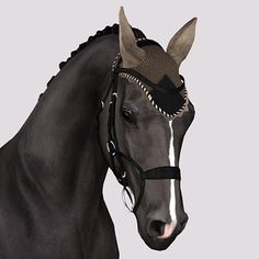 a black horse wearing a bridle on top of it's head and neck