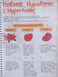 Ap Bio Notes Aesthetic, Cell Notes Biology Class 9, 9th Grade Biology Notes, Isotonic Hypotonic Hypertonic, Aesthetic Biology Notes, Physical Science Notes, Handwriting Notes