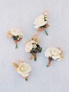 five white flowers are arranged on a table