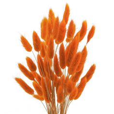 a vase filled with orange feathers on top of a table