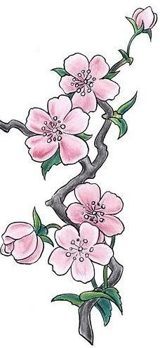 a branch with pink flowers on it and green leaves in the center is drawn by hand