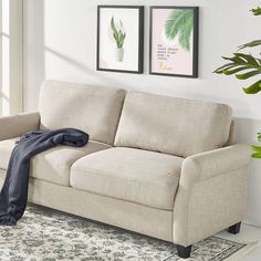 a living room scene with focus on the couch and two framed pictures hanging above it