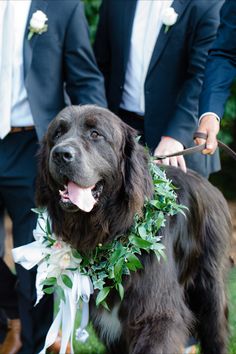 two men in suits and ties with a dog wearing a wreath around his neck on the grass