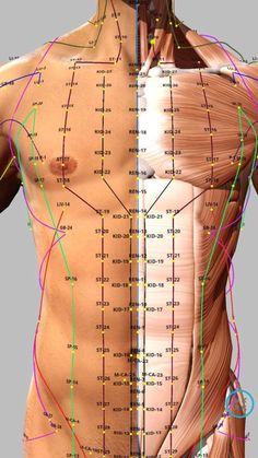 Punkty Spustowe, Traditional Chinese Medicine Acupuncture, Acupressure Therapy, Hand Reflexology, Massage Therapy Techniques, Reflexology Chart, Acupressure Massage