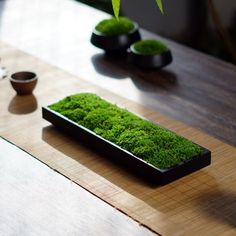 a table topped with a wooden tray filled with green moss next to two small pots