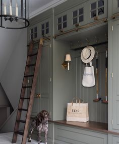 a dog standing next to a ladder in a room