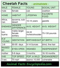 an animal fact table with animals and their names