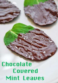 chocolate covered mint leaves on a white plate