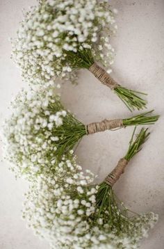 some baby's breath flowers are laying on the ground