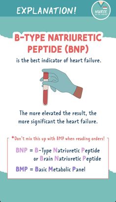 a hand holding a test tube with the words b - type natriumetic peptide bnp