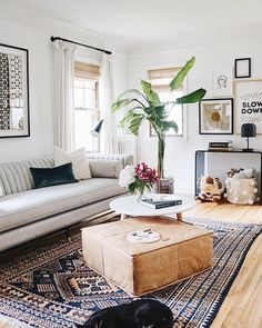 a living room filled with furniture and a large potted plant on top of a coffee table