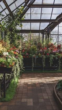 the inside of a greenhouse filled with lots of plants