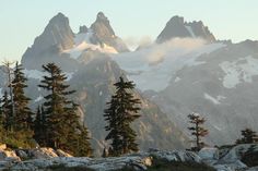 the mountain range is covered in snow and surrounded by pine trees, with low hanging clouds