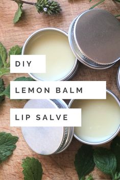 Lip Salve Recipe, Herbal Salves Recipes, Diy Salve, Peony Salve, Calendula Balm Salve Recipes, Lemon Balm Salve Recipe, Lemon Balm Lip Balm Diy, Diy Skin Healing Salve, Lemon Balm Salve