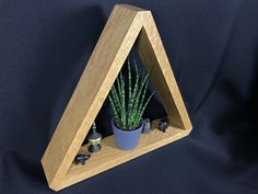 a potted plant in a wooden triangle shaped shelf