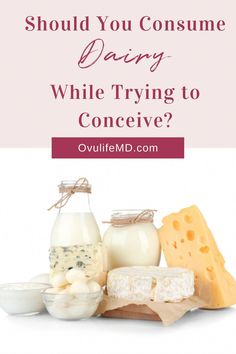 The impact of dairy on fertility is somewhat controversial, but for some women, dairy can actually make it harder to conceive. Fertility Diet Plan, Ivf Diet, Dairy Substitutes, Ttc Tips, Fertility Smoothie, Fertility Nutrition, Balancing Hormones, Fertility Yoga, Fertility Foods