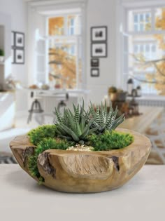 a wooden bowl filled with green plants on top of a white counter next to a window