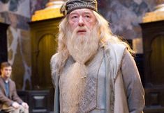 Albus Dumbledore Aesthetic, Harry Potter Fanları, Harry Potter Sketch, Harry Potter Dumbledore, Michael Gambon, Gryffindor Aesthetic