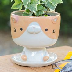 a potted plant sitting on top of a table next to a pair of glasses