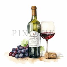 a watercolor painting of a bottle and glass of red wine next to some grapes