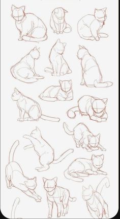 a bunch of cats that are sitting on top of each other in different positions and sizes