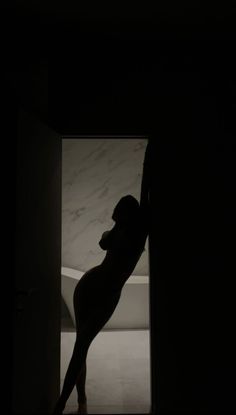 the silhouette of a dog is seen through an open door in a dimly lit room