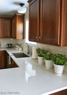 a kitchen with wooden cabinets and white counter tops, potted plants on the island