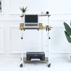 a laptop computer sitting on top of a wooden shelf next to a printer and plant