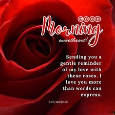 Beautiful Romantic Good Morning Rose Images: Express Love