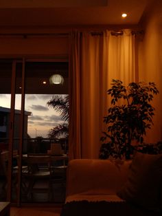 a living room filled with furniture and a plant in front of a sliding glass door