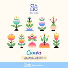 Canva elements new 2022 trendy Flower Plush, Orchid Show, Canva Elements Keyword, Flower Festival, Canva Elements, Floral Elements, Decorative Elements, Chalk Art, Paint Pens