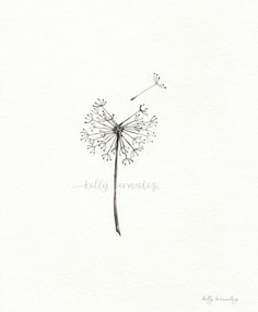 a drawing of a dandelion in black and white