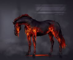 a horse that is standing in the dark with fire on it's back legs