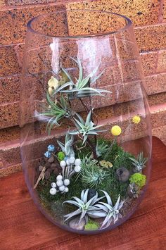 a glass vase filled with plants on top of a wooden table