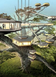 a tree house with people standing on the top and stairs going up to it's roof