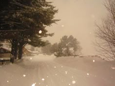 a snow covered road with trees and houses in the background