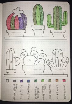 an open notebook with drawings of cactuses and cacti