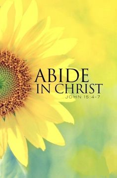 a yellow sunflower with the words abide in christ