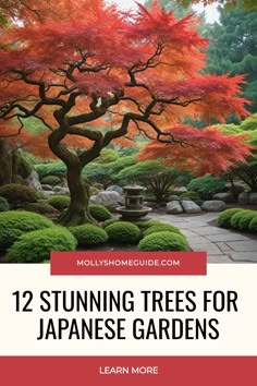 a japanese garden with red trees and green grass, text reads 12 stunning trees for japanese gardens