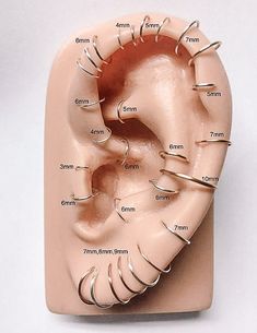 an image of the inside of a fake human ear