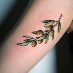 an olive branch tattoo on the arm