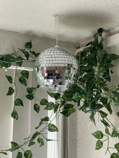 a mirror ball hanging from the ceiling next to a plant with green leaves on it