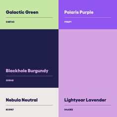 four different font styles are shown in purple, green and blue colors on the same color scheme