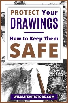 the front cover of a book with an image of animals and text that reads protect your drawings how to keep them safe