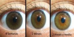 Brown Eyes Aesthetic, Change Your Eye Color, Makeup Ojos, Eye Makeup Application, Beautiful Eyes Color, Facial Tips, Shower Skin Care, Preventative Health