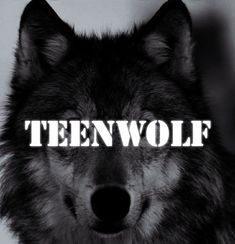 a black and white photo of a wolf with the words teenwolf on it