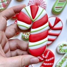 a hand holding a candy cane in front of many decorated cookies on a white surface