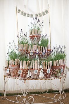 a table topped with lots of potted plants