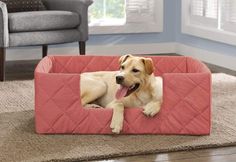 a dog laying in its bed on the floor with it's tongue hanging out