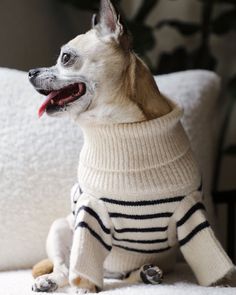 a dog wearing a sweater sitting on top of a white couch with its tongue hanging out